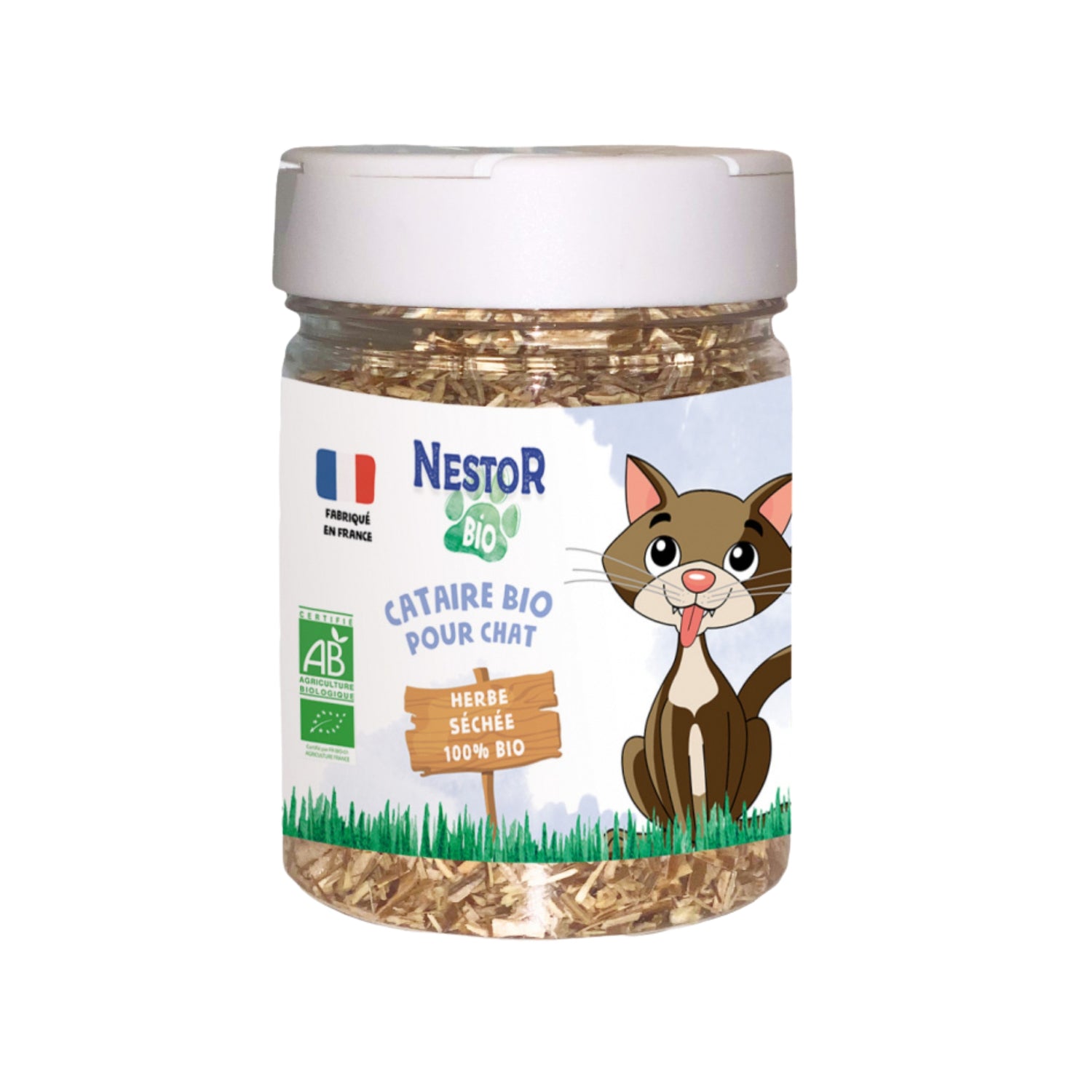 Cataire Bio - Herbe à Chat