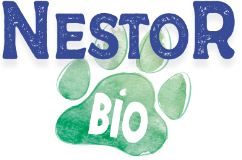 Nestor Bio